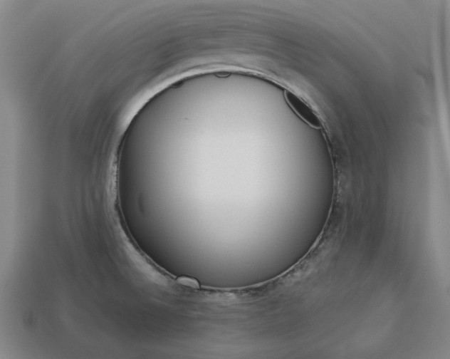 X0000113361524200909291019