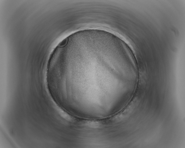 X0000113361525200909291019