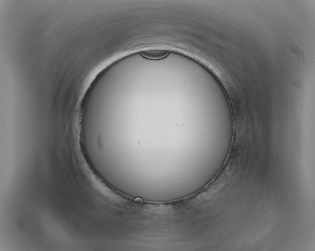 X0000113361526200909291019