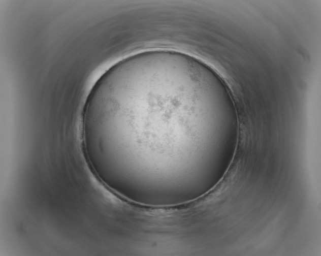 X0000113361527200909291019