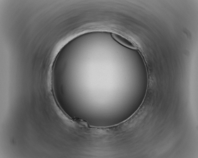 X0000113361528200909291019