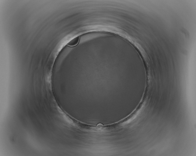 X0000113361529200909291019