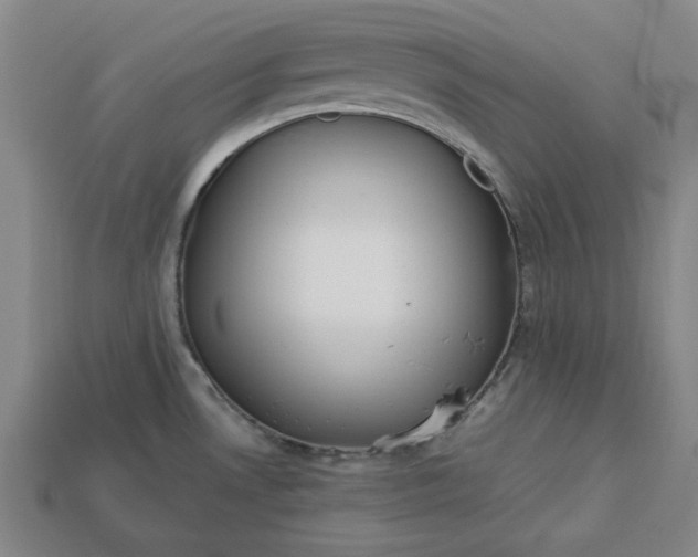 X0000113361530200909291019
