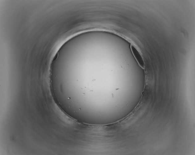 X0000113361532200909291019