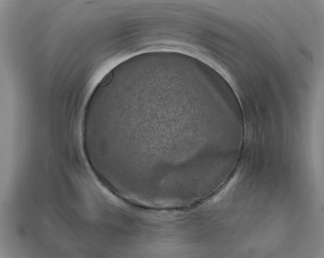 X0000113361533200909291019