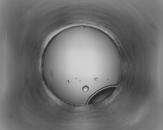 X0000113361535200909291020