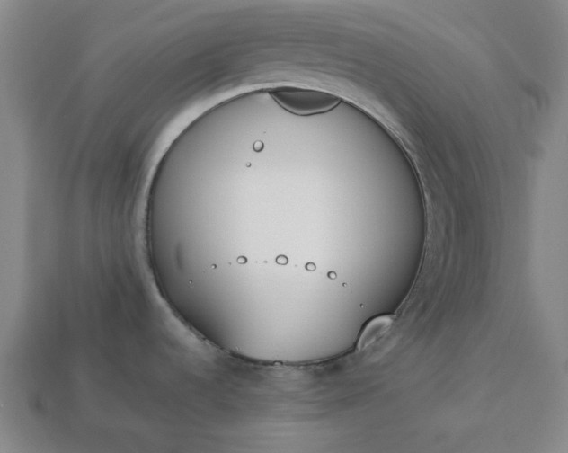 X0000113361536200909291020