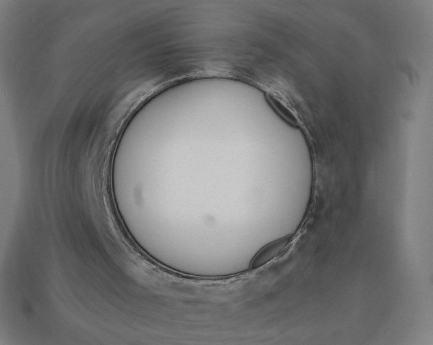 X0000113360001200910061049