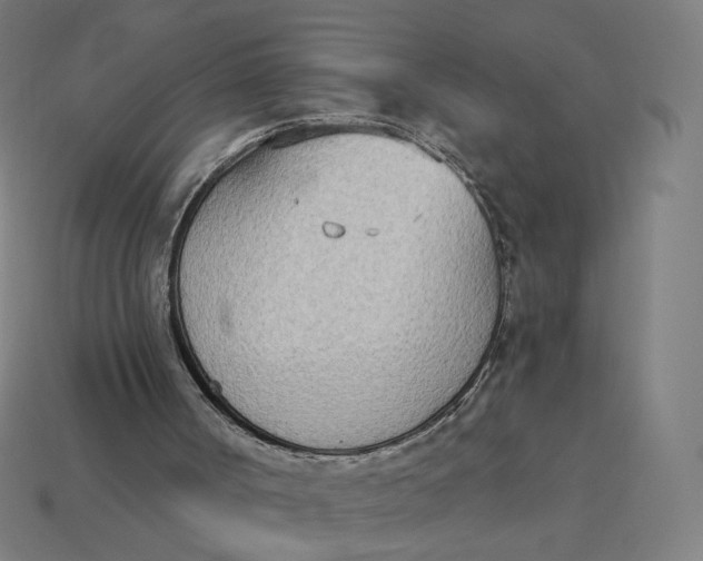 X0000113360002200910061049