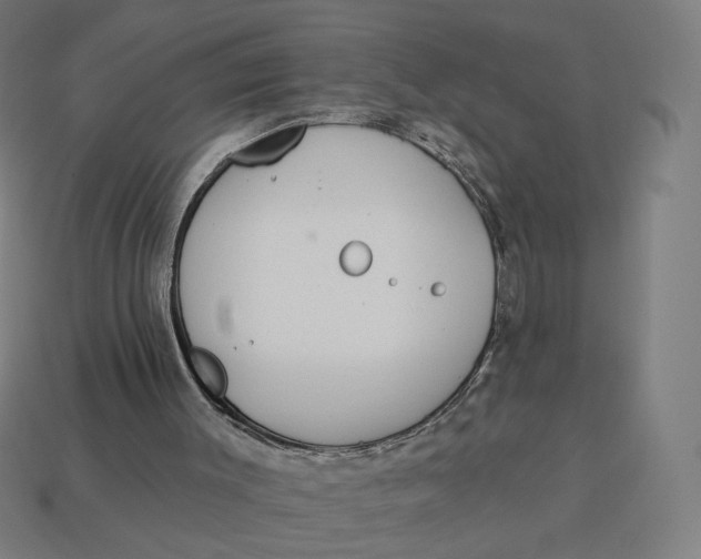 X0000113360003200910061049