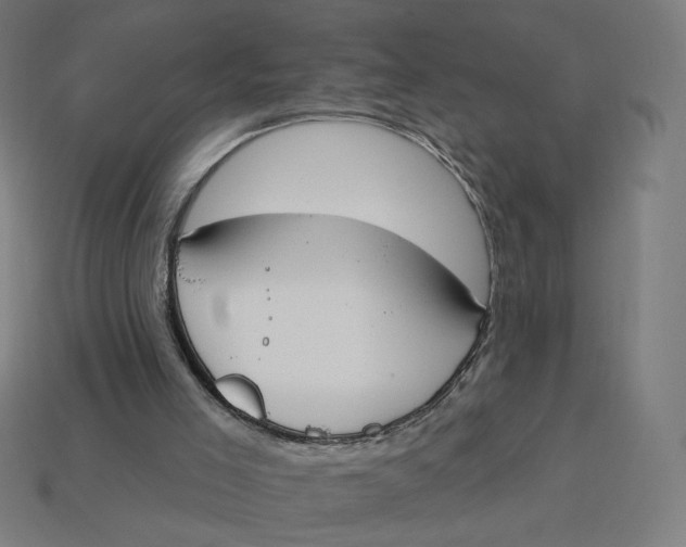 X0000113360005200910061049