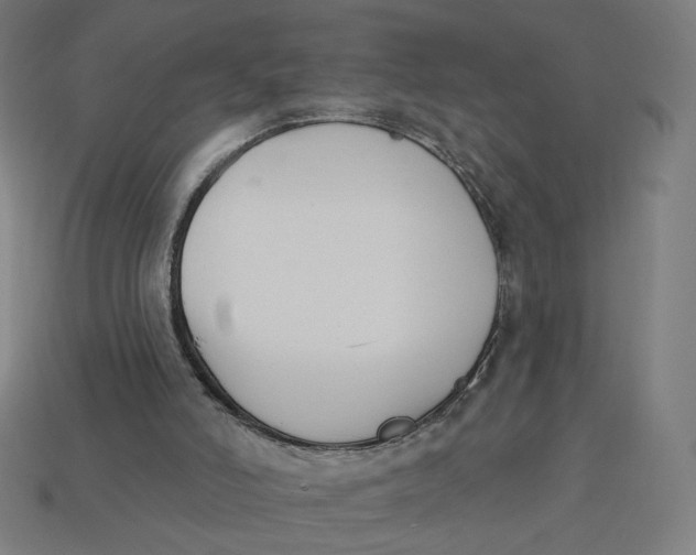 X0000113360006200910061049