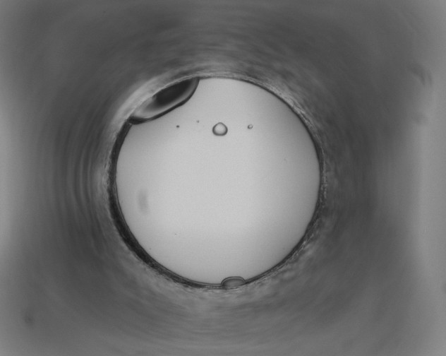 X0000113360007200910061049