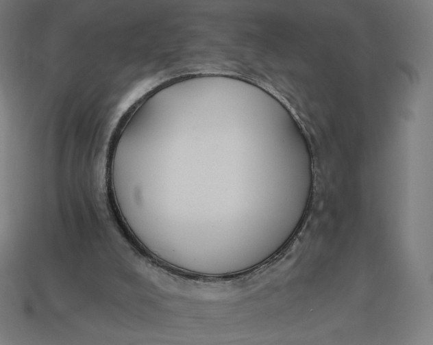 X0000113360008200910061049