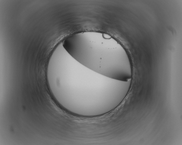 X0000113360009200910061049