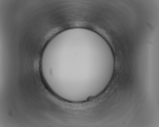 X0000113360010200910061049