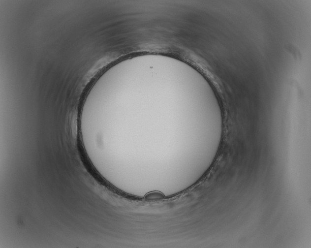 X0000113360011200910061049