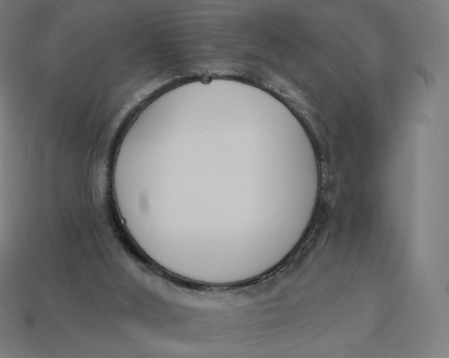 X0000113360012200910061049