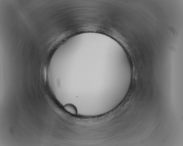 X0000113360013200910061049