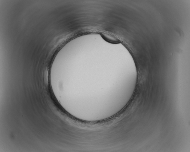 X0000113360014200910061049