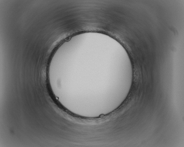 X0000113360015200910061049