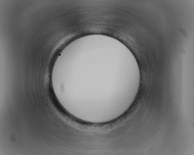 X0000113360016200910061049