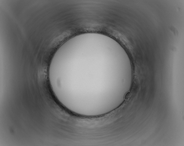 X0000113360017200910061049