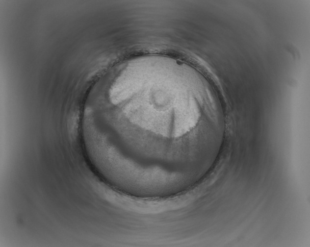 X0000113360018200910061049