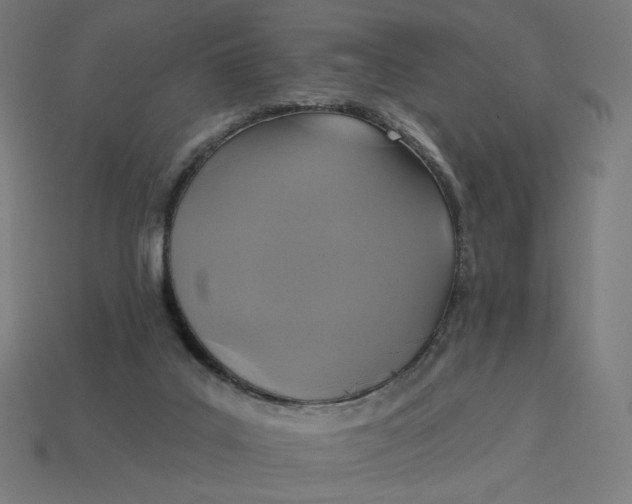 X0000113360019200910061049