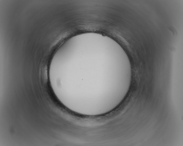 X0000113360020200910061049