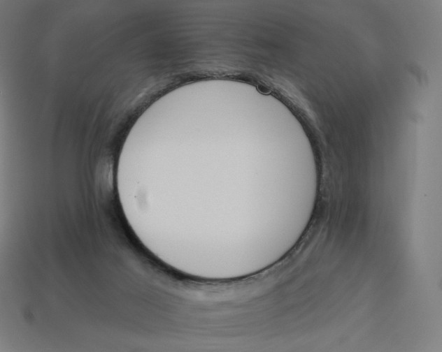 X0000113360021200910061049