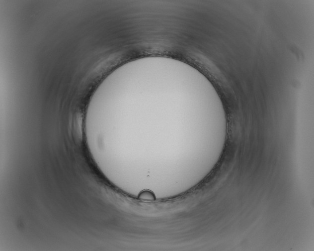 X0000113360022200910061049