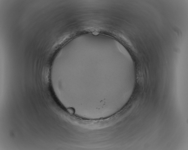 X0000113360023200910061049