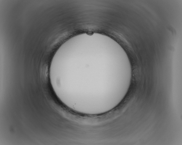 X0000113360024200910061049