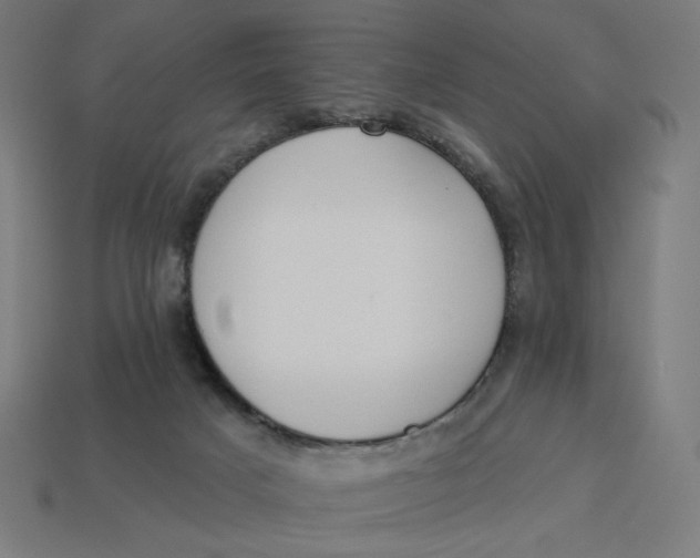 X0000113360025200910061049