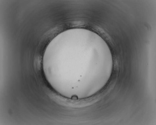 X0000113360026200910061049