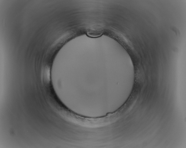 X0000113360027200910061049