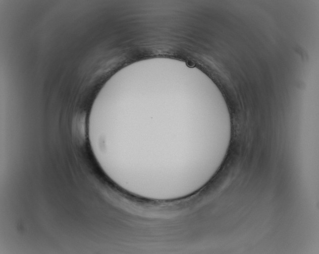 X0000113360028200910061049