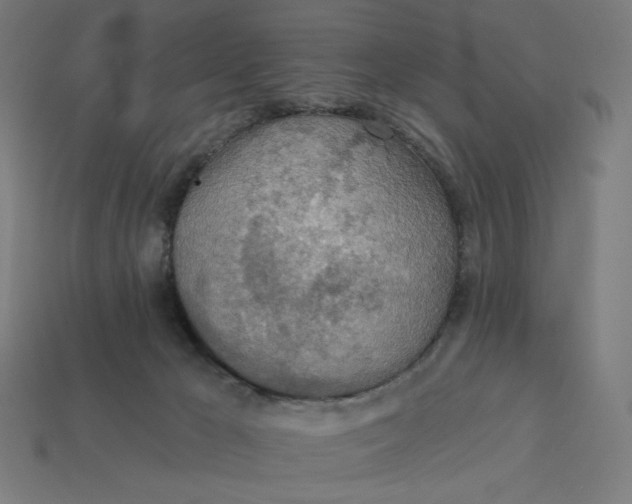 X0000113360029200910061049