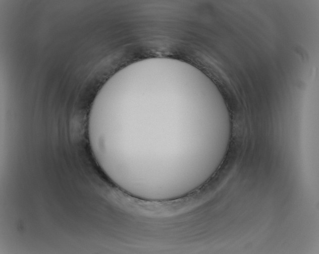 X0000113360030200910061049