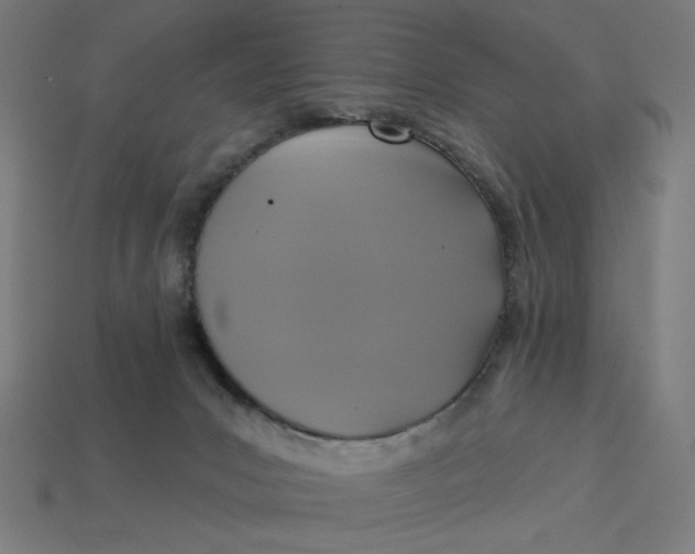 X0000113360031200910061049