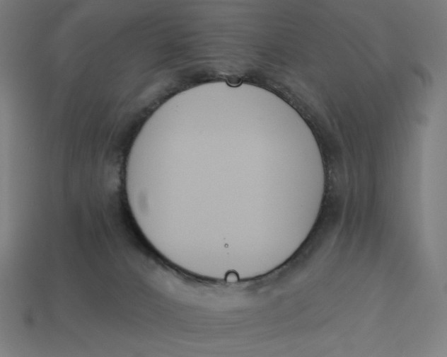 X0000113360032200910061049