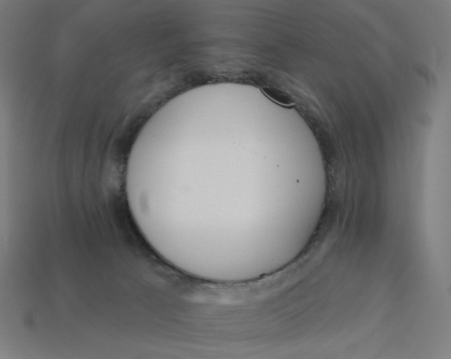 X0000113360033200910061049