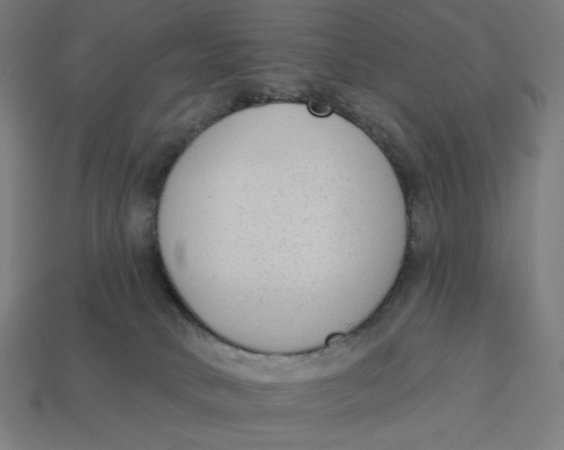 X0000113360034200910061049