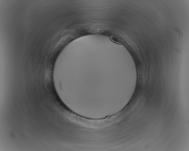 X0000113360035200910061049