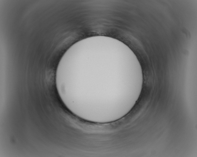 X0000113360036200910061049