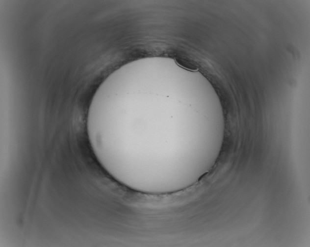 X0000113360037200910061049