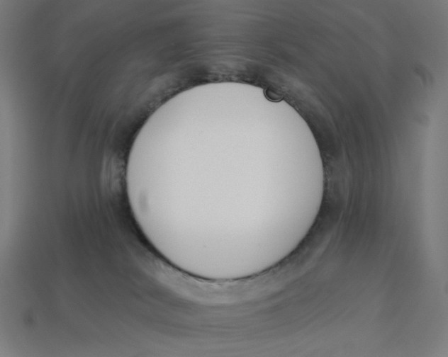 X0000113360038200910061049