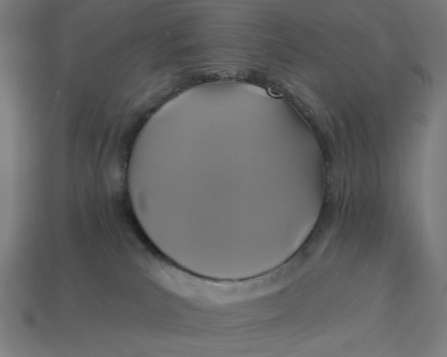 X0000113360039200910061049