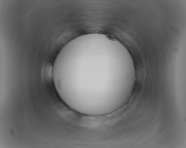 X0000113360041200910061049